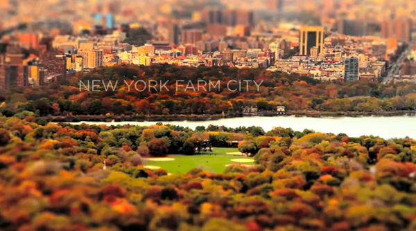 La Grande Pomme et ses potagers : New York Farm City