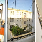 Volet végétal : un jardin suspendu à la fenêtre
