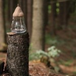 Vyrobeno Lesem : un design inspiré de la forêt