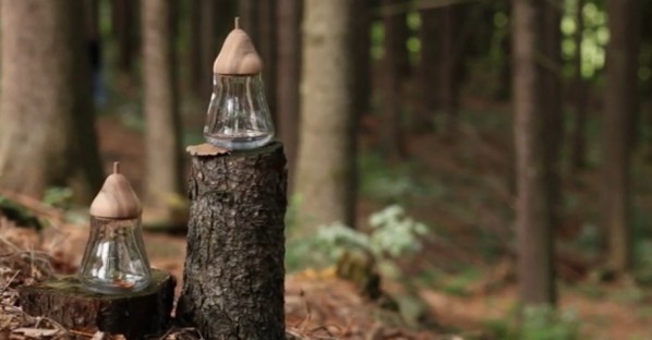 Vyrobeno Lesem : un design inspiré de la forêt