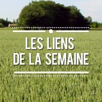 Les liens de la semaine #3