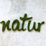 Green Graffiti par Anna Garforth