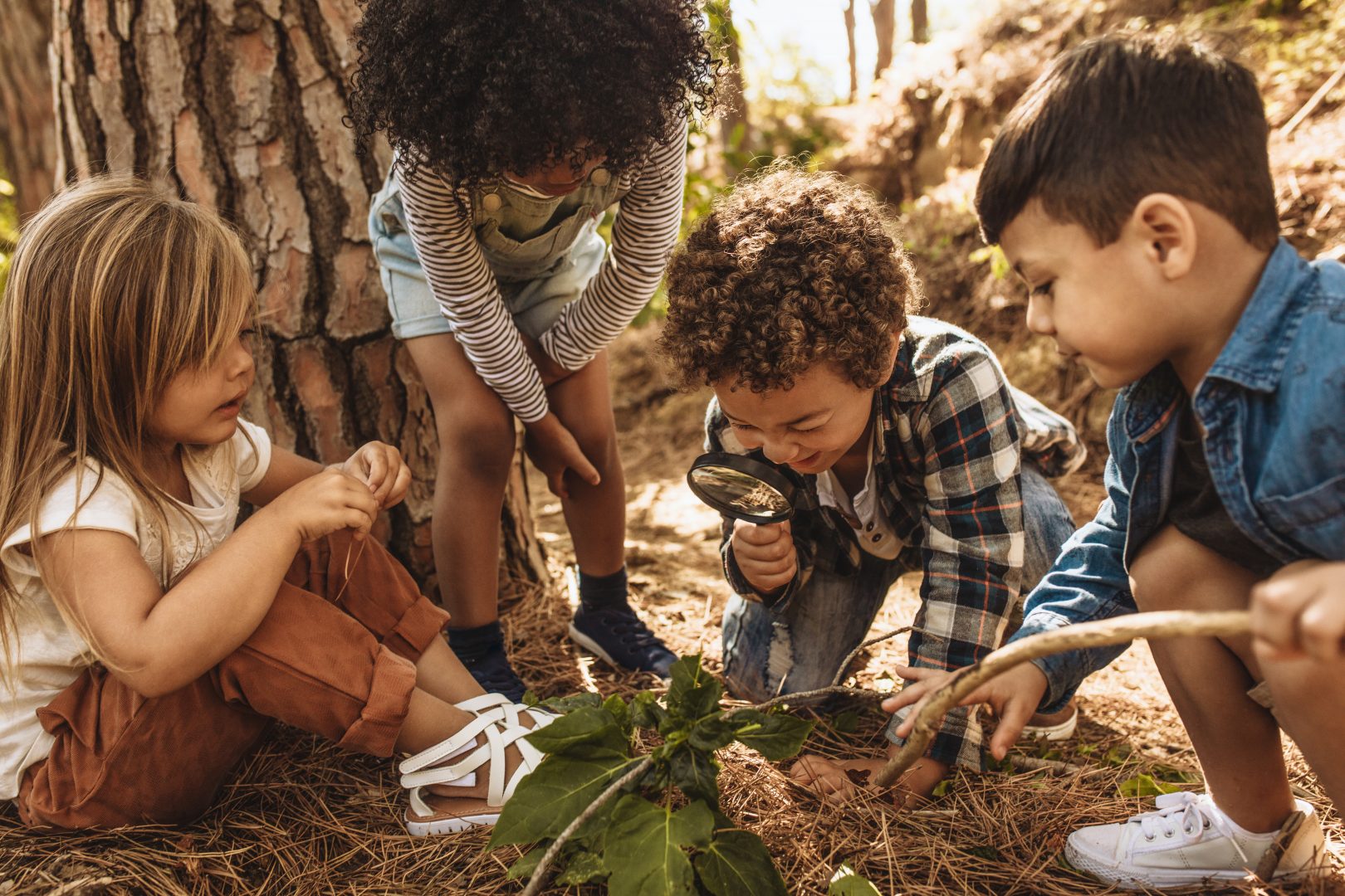 Nature en ville, les enfants et vacances urbaines