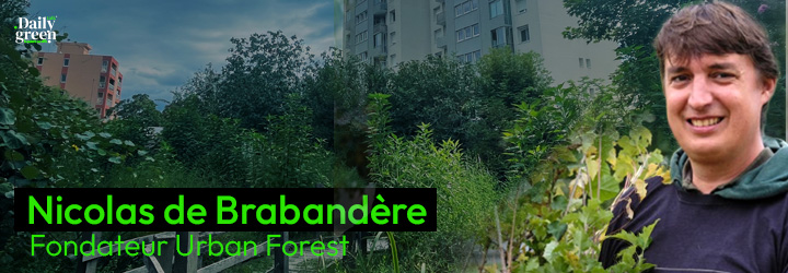 Micro-forêts urbaines : la méthode Miyawaki