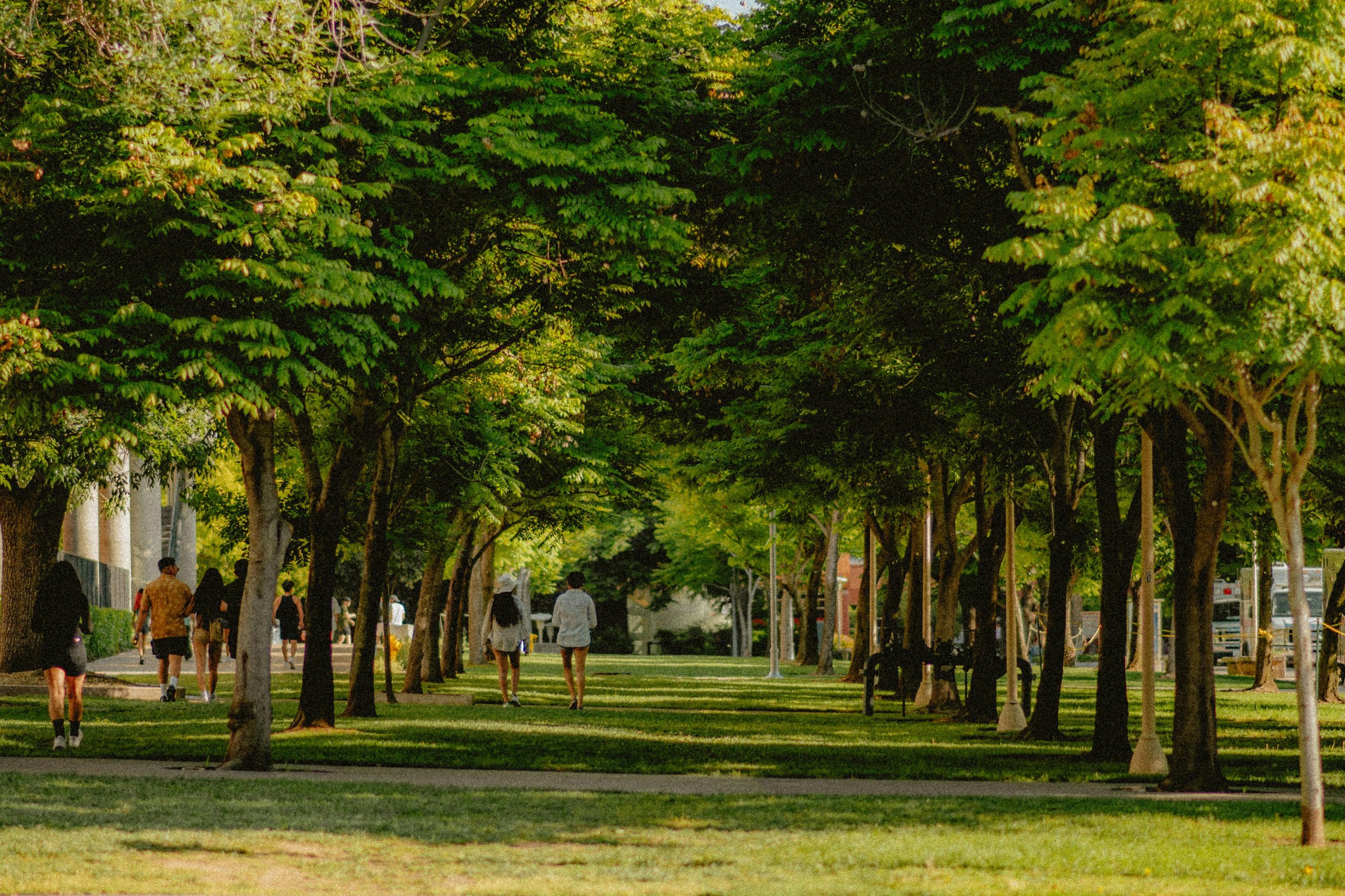 Le sol et les villes : vers une réconciliation pour le vivant