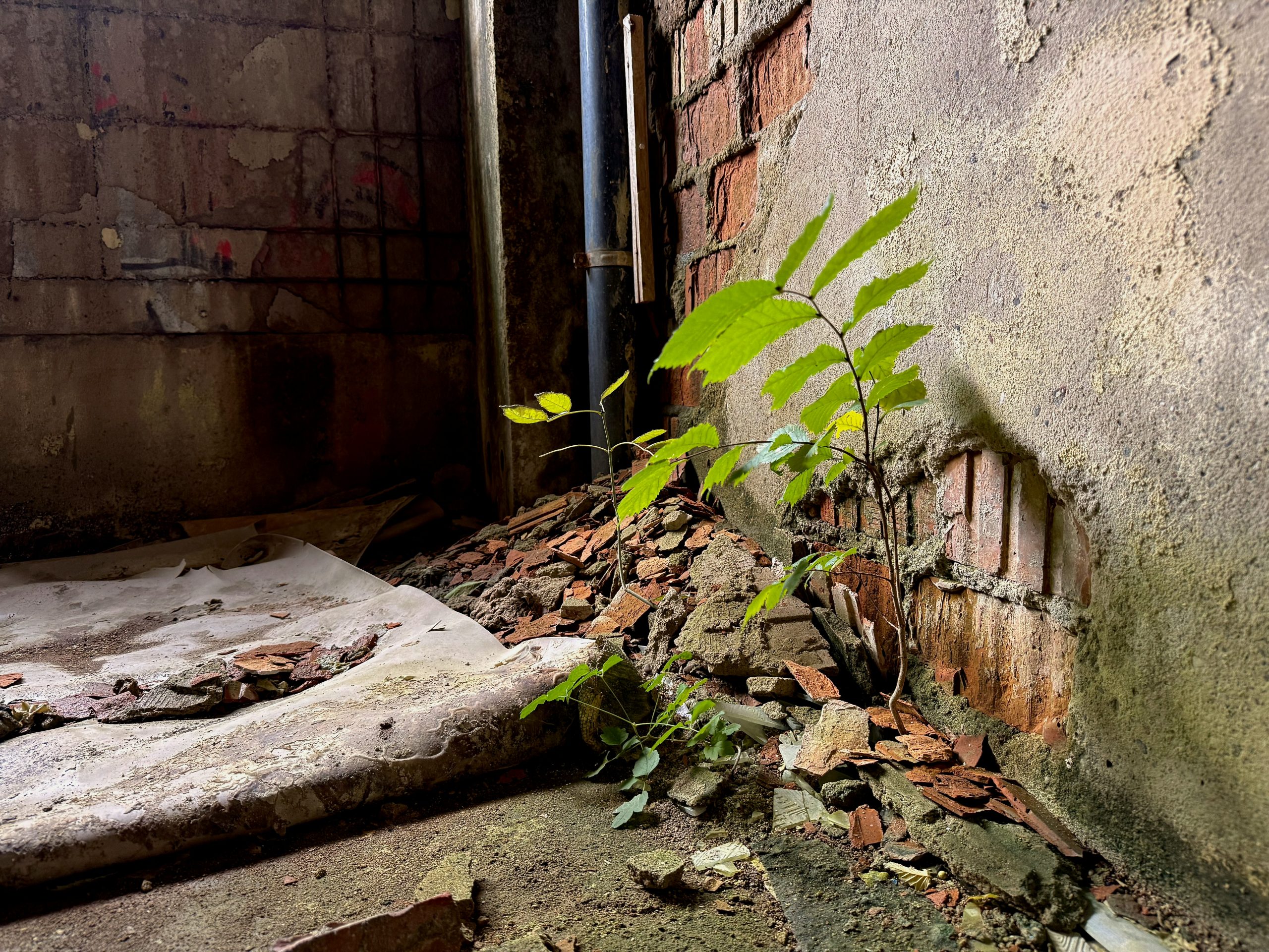 Soigner la santé mentale sans soigner la ville : une impasse