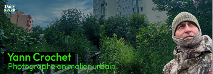 La ville sous l’œil d’un photographe naturaliste avec Yann Crochet