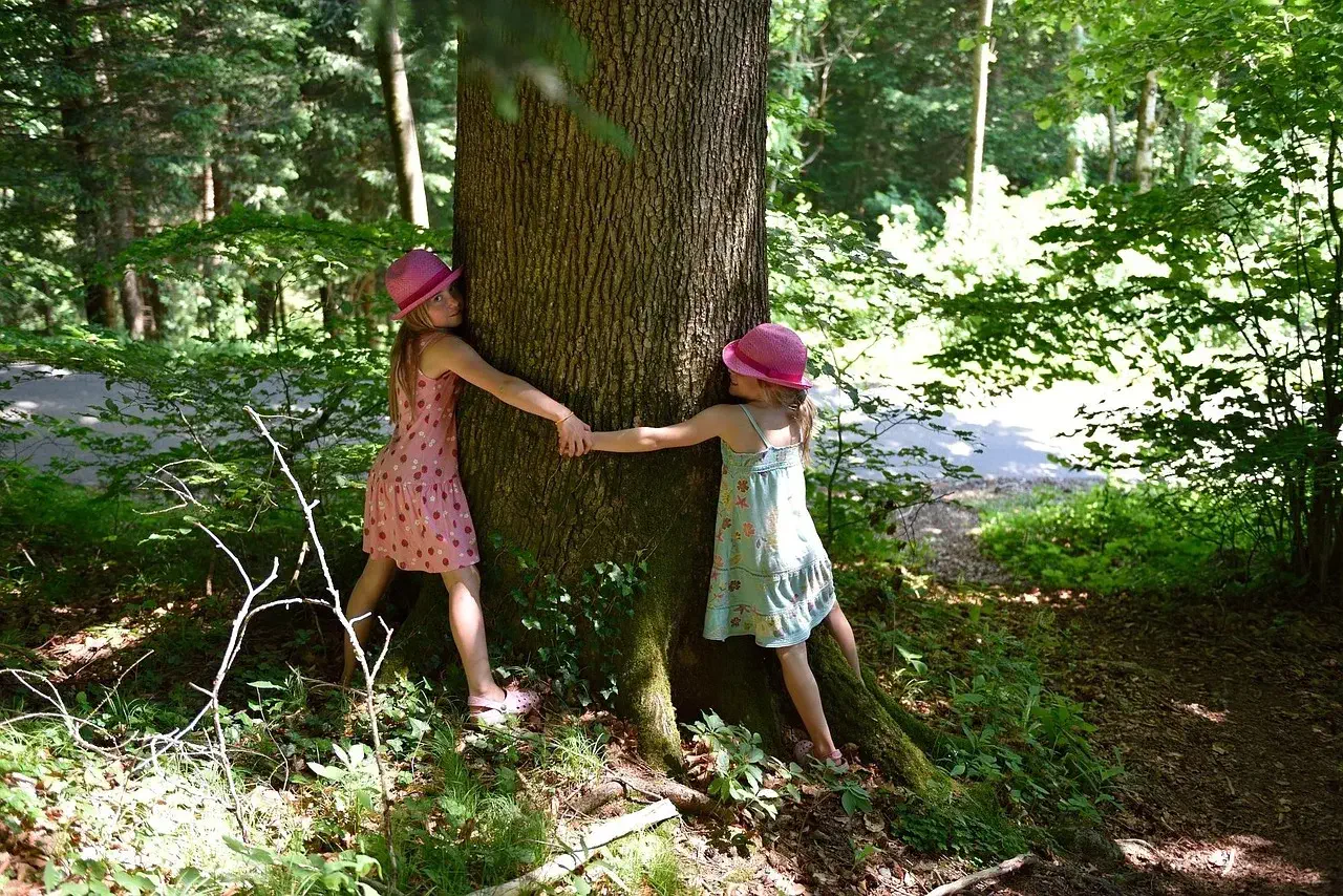 Donner une valeur monétaire aux arbres ?